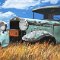 Pasture Eyes • oil on canvas • 18 x 18 inches
